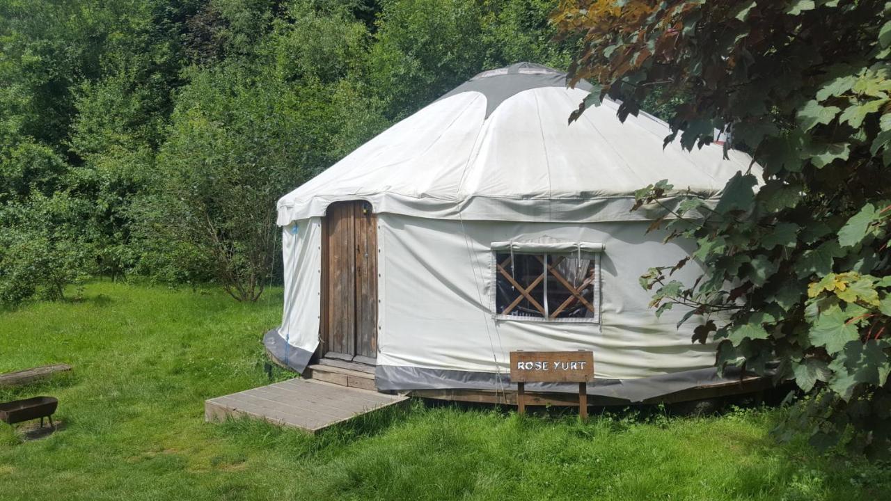 South Downs Eco Lodge & Camping East Meon 외부 사진