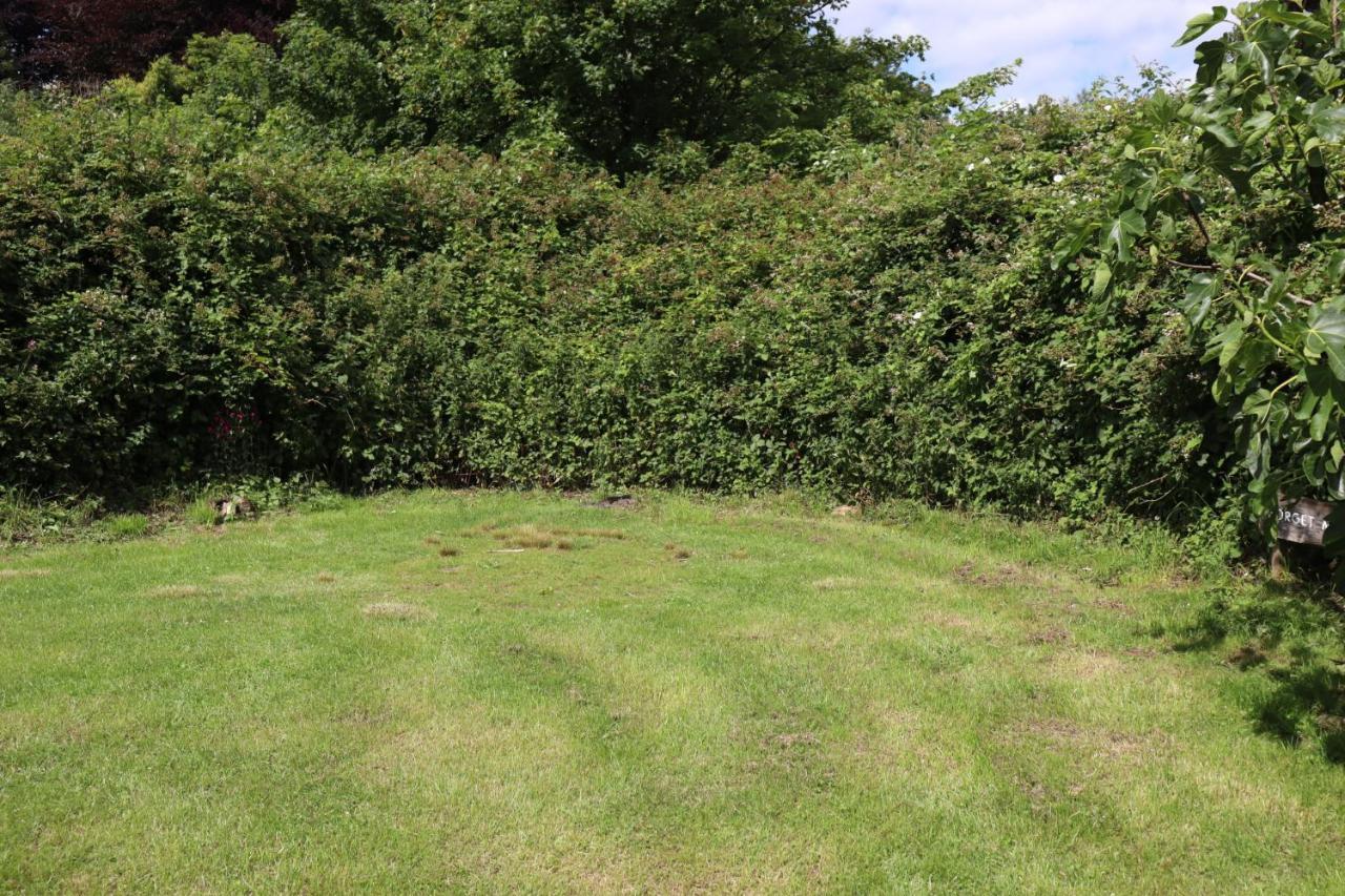South Downs Eco Lodge & Camping East Meon 외부 사진