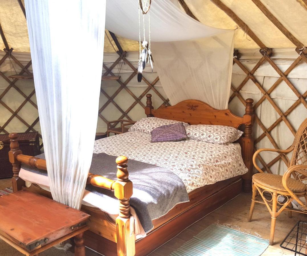South Downs Eco Lodge & Camping East Meon 외부 사진