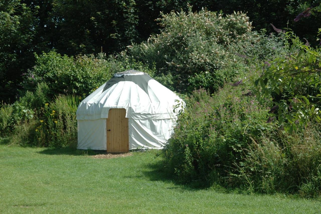 South Downs Eco Lodge & Camping East Meon 외부 사진