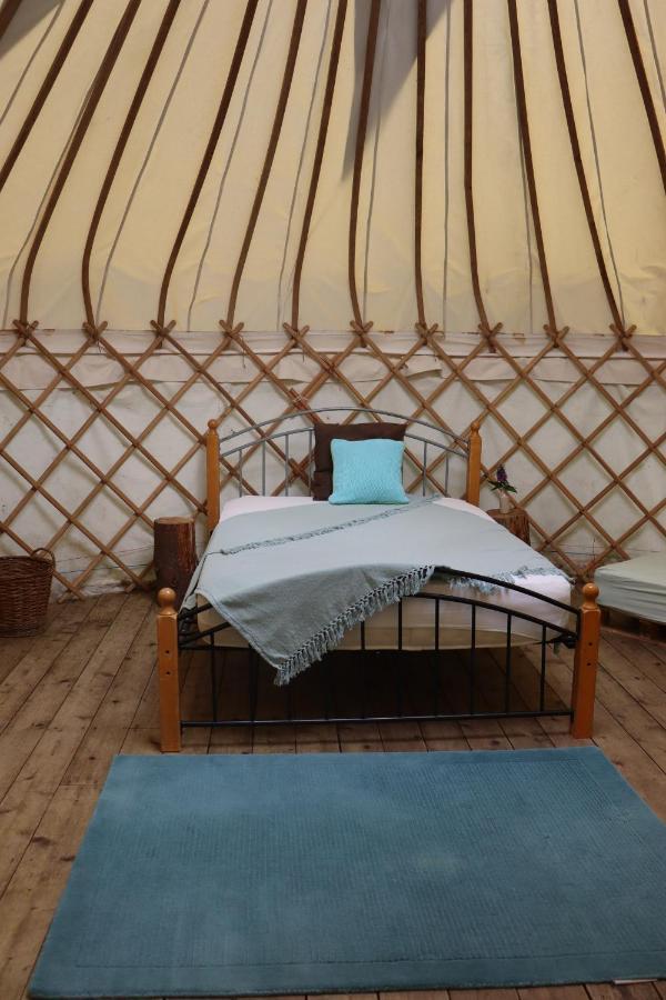 South Downs Eco Lodge & Camping East Meon 외부 사진