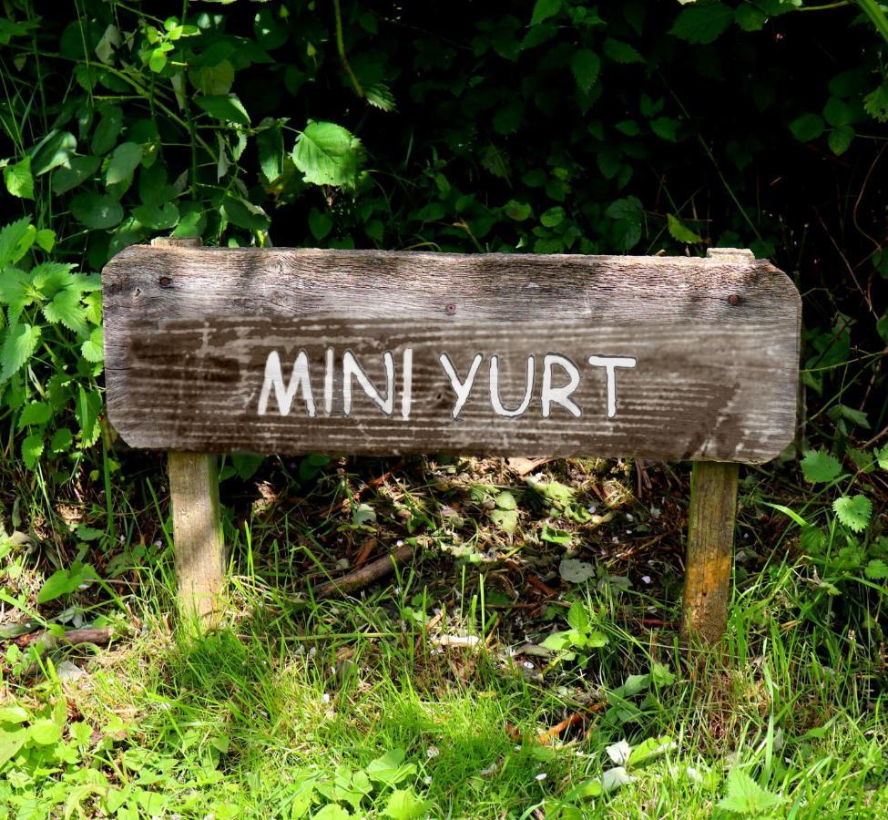 South Downs Eco Lodge & Camping East Meon 외부 사진