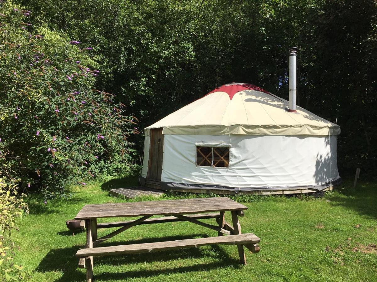South Downs Eco Lodge & Camping East Meon 외부 사진