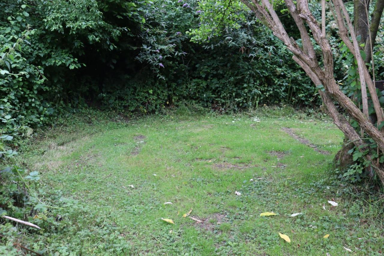 South Downs Eco Lodge & Camping East Meon 외부 사진