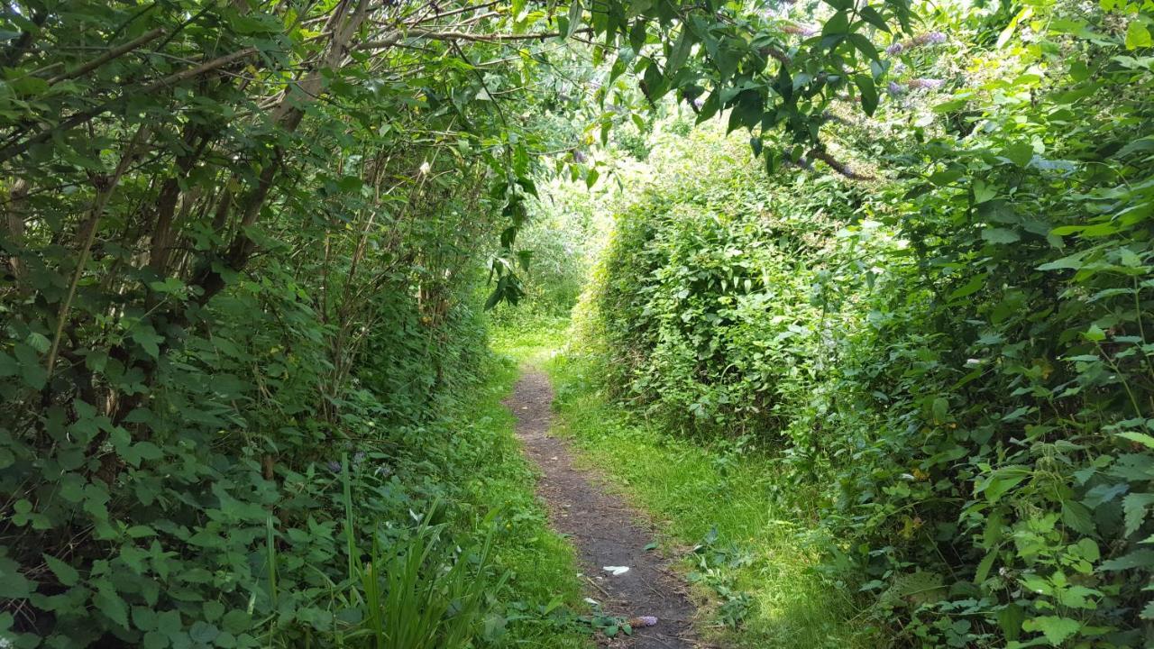 South Downs Eco Lodge & Camping East Meon 외부 사진