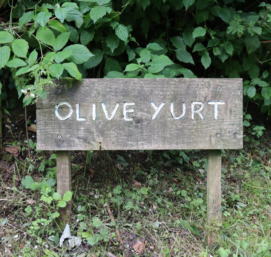 South Downs Eco Lodge & Camping East Meon 외부 사진