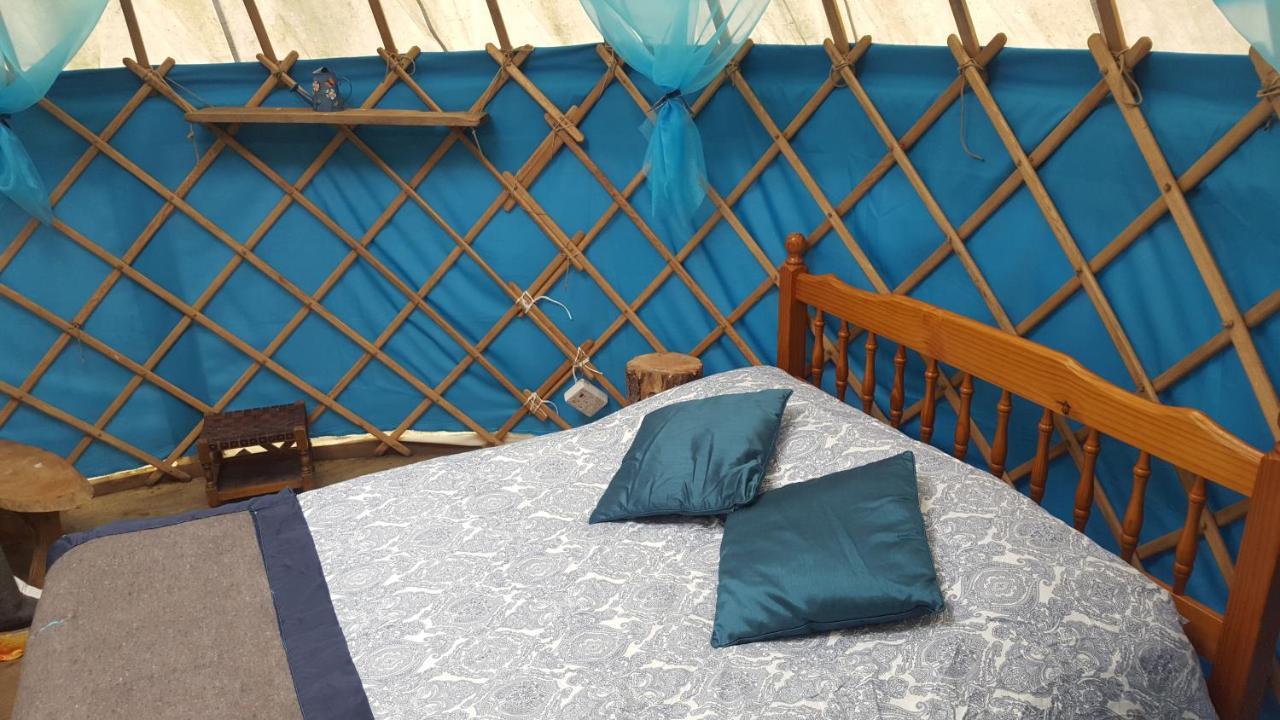 South Downs Eco Lodge & Camping East Meon 외부 사진