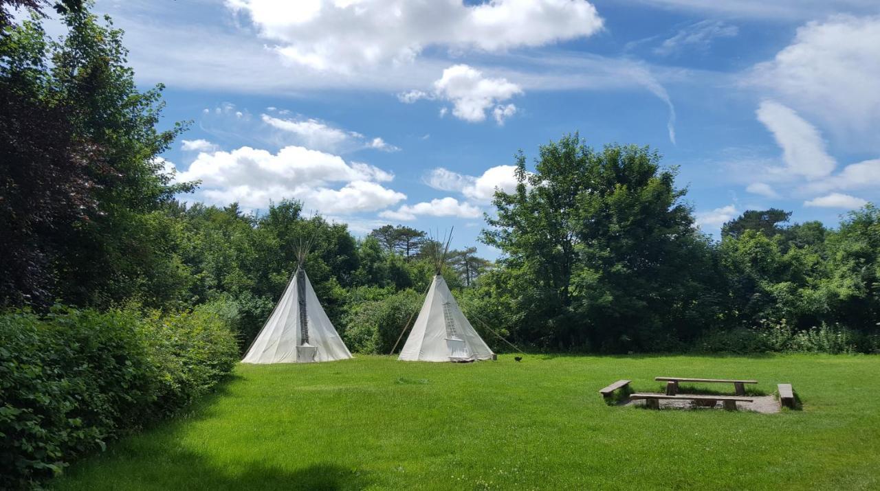 South Downs Eco Lodge & Camping East Meon 외부 사진
