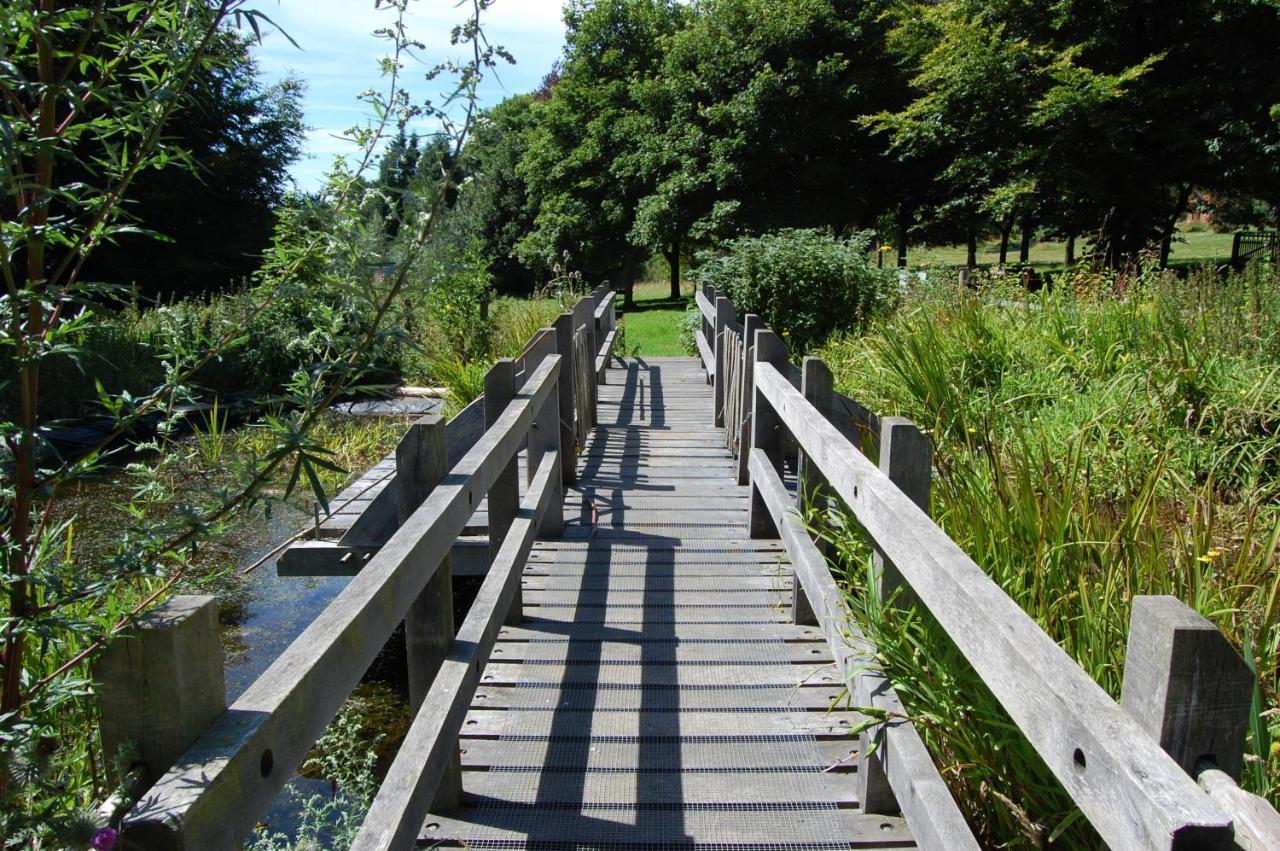 South Downs Eco Lodge & Camping East Meon 외부 사진