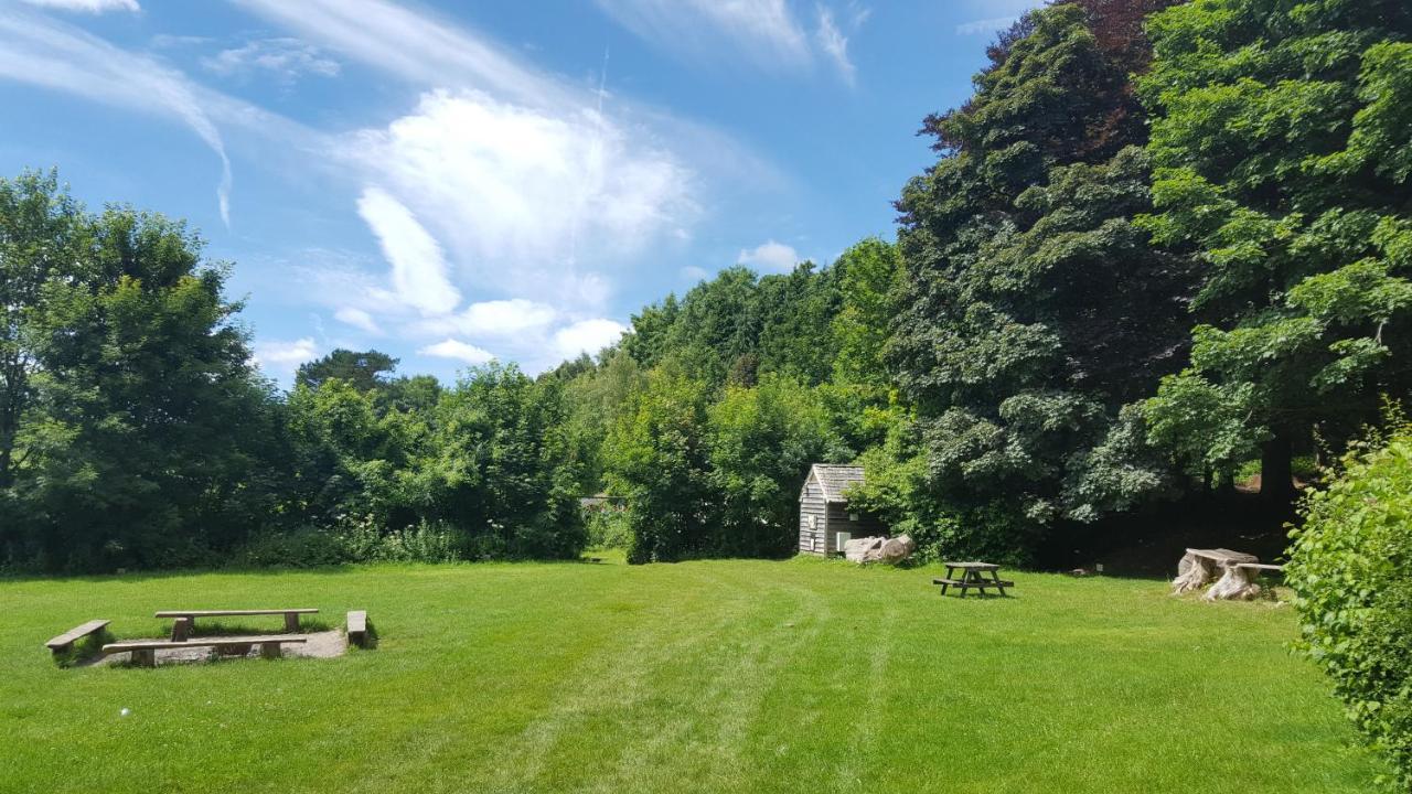 South Downs Eco Lodge & Camping East Meon 외부 사진
