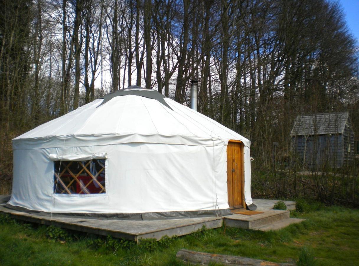 South Downs Eco Lodge & Camping East Meon 외부 사진