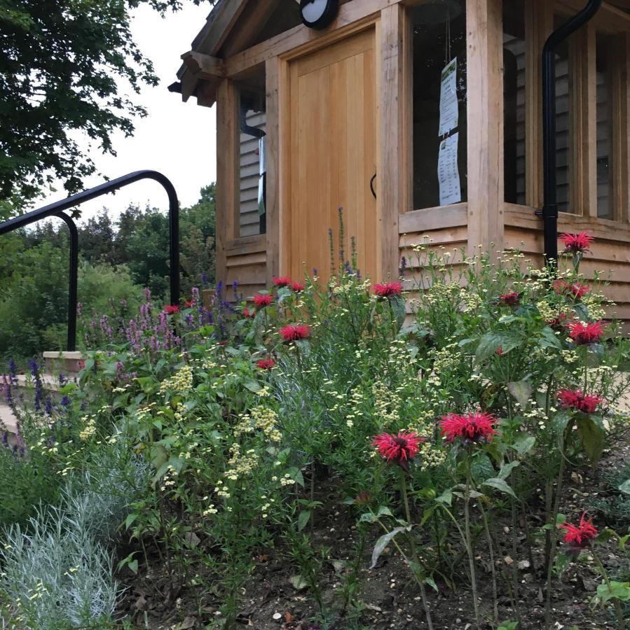 South Downs Eco Lodge & Camping East Meon 외부 사진