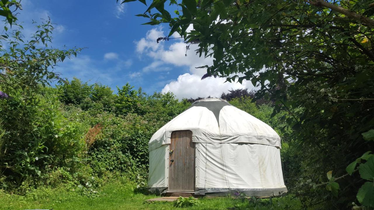 South Downs Eco Lodge & Camping East Meon 외부 사진