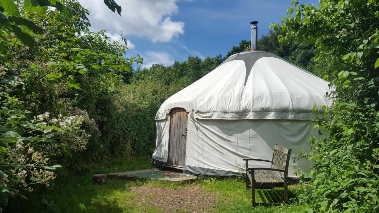 South Downs Eco Lodge & Camping East Meon 외부 사진