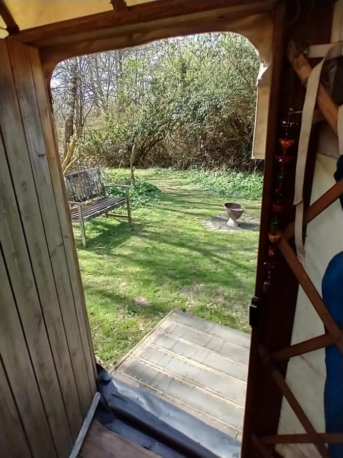 South Downs Eco Lodge & Camping East Meon 외부 사진