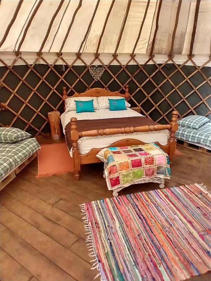 South Downs Eco Lodge & Camping East Meon 외부 사진