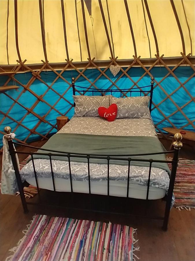 South Downs Eco Lodge & Camping East Meon 외부 사진